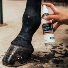 Aloevera Sårspray Eclipse thumbnail
