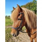 Hodelag HIF komplett wave rainbow med anatomisk nesereim thumbnail