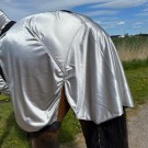 Eksemdekken lyst thumbnail