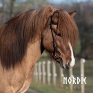 Hodelag All Black thumbnail