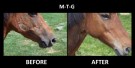 Shapley's M-T-G Original 32oz thumbnail