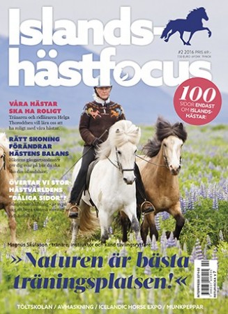 Islandshästfocus - magasin