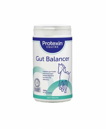 Gut Balancer pulver