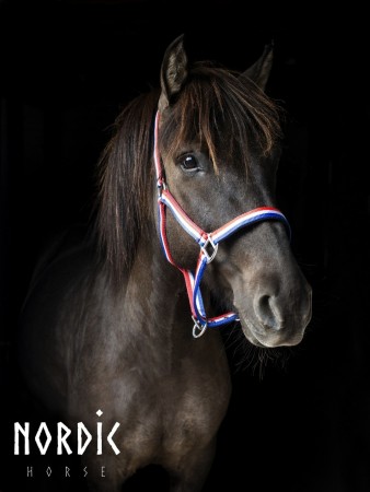 Grime stripet fóret