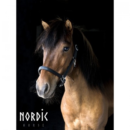 Lærgrime svart myk