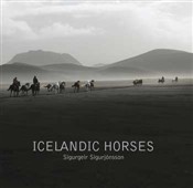 Icelandic Horses