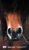 DVD The Icelandic Horse