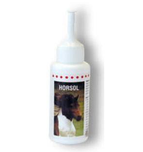 Horsol